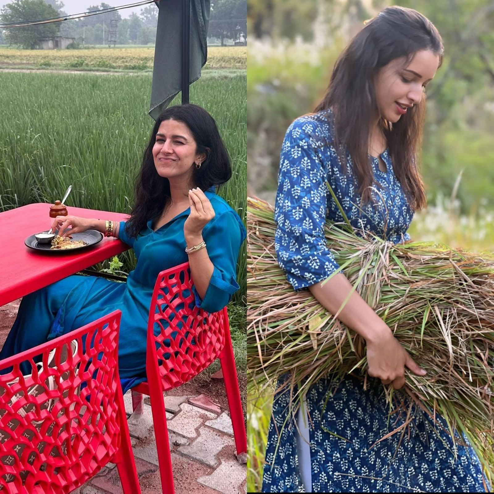 Triptii Dimri to Nimrat Kaur: Actress who’ve embraced their cultural roots