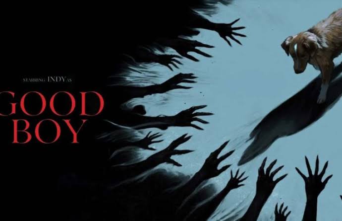 Good Boy: A Heartfelt Thriller That Deserved a Stronger Bite